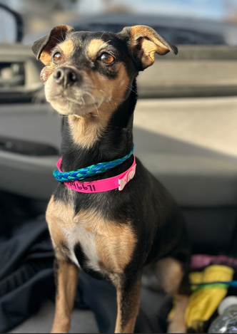 Mocha 2