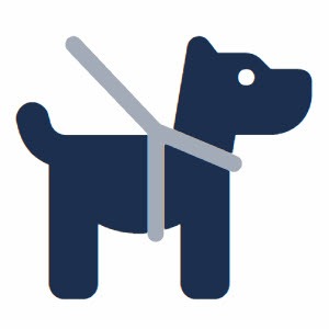 collars-leashes
