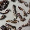 beef_jerkey_springs