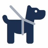 collars-leashes